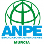 Logo of ANPE MURCIA - FORMACIÓN